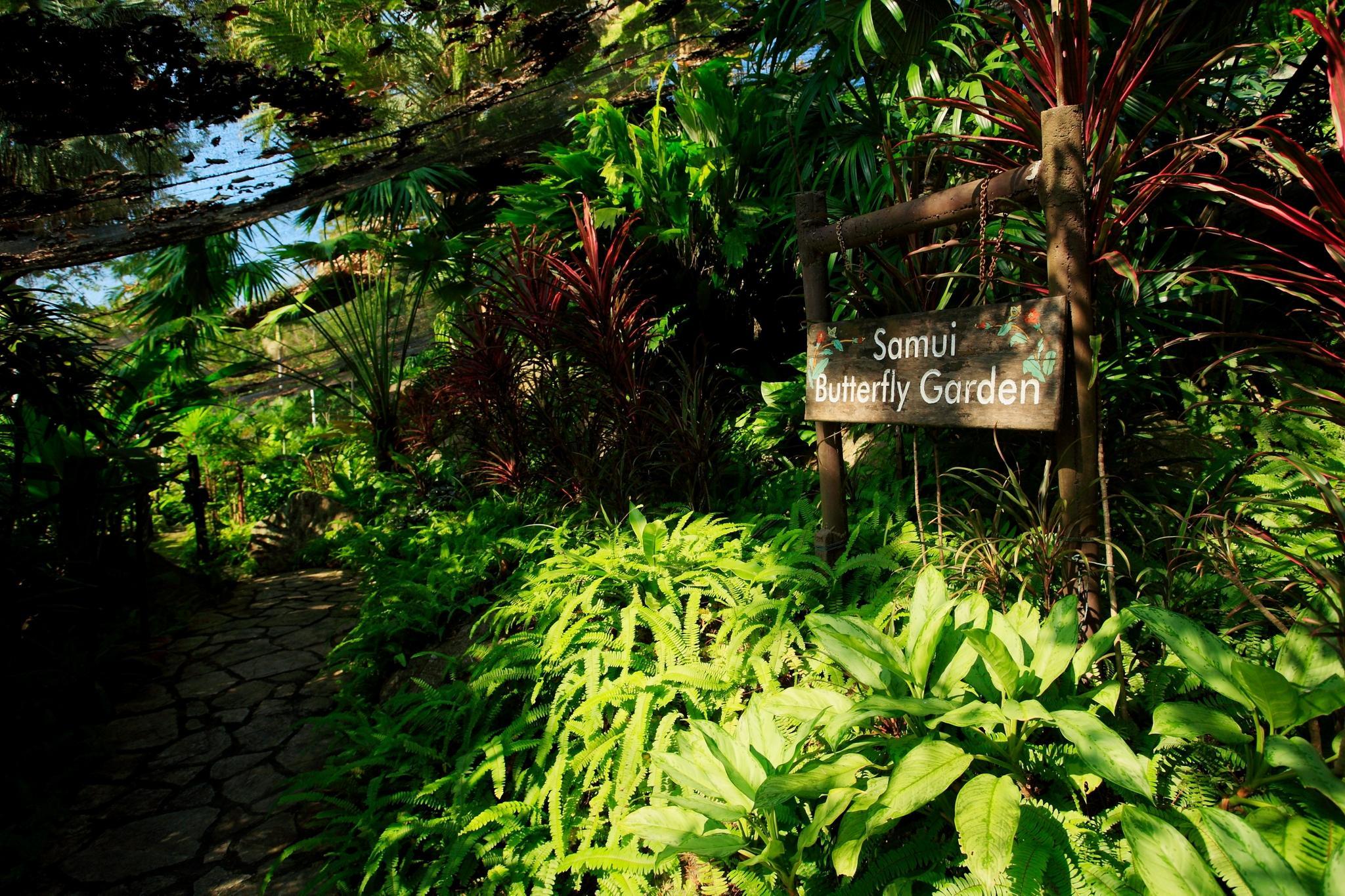 Centara Villas Samui - Sha Plus Lamai Beach  Dış mekan fotoğraf
